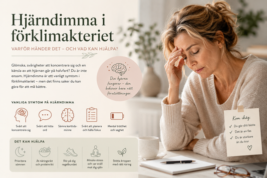 Hjärndimma i förklimakteriet – varför känns hjärnan annorlunda?