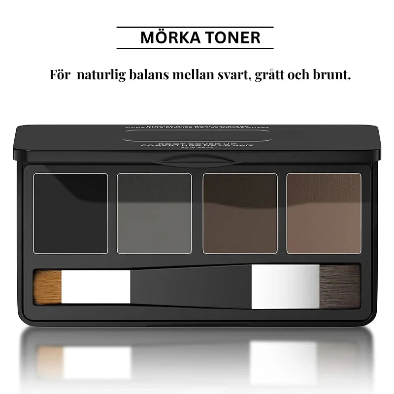 Waterproof Hairline & Root Concealer Powder Instant Gray Coverage Hair Shadow Powder Black Dark Brown Hair Root Touch Up Powder